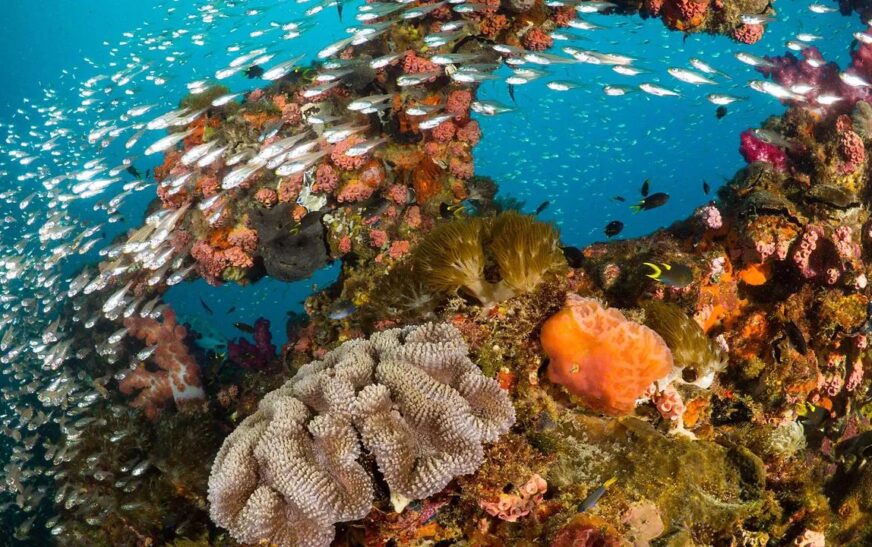 The Ultimate Travel Bucket List for Adventure Seekers