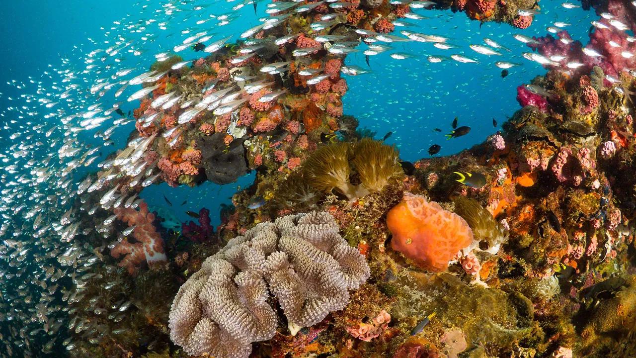 The Ultimate Travel Bucket List for Adventure Seekers